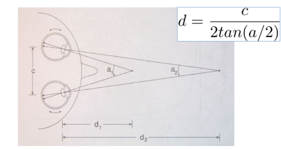 Primeira triangulação