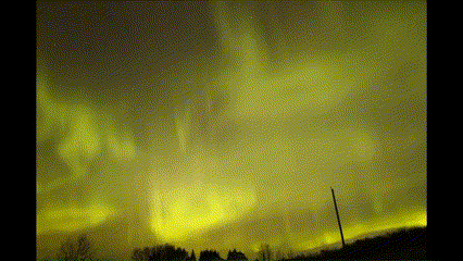 aurora Alberta, CA 5 nov 23 Dave Rudisuela